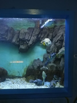 蓬萊極地海洋世界
