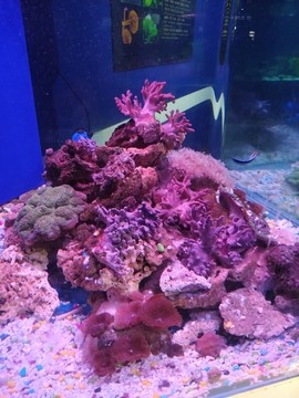 蓬萊極地海洋世界