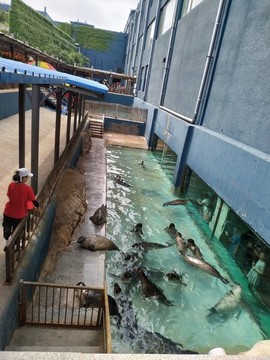 蓬萊極地海洋世界