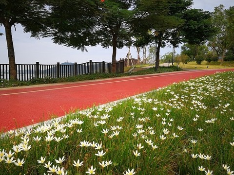 玉蓮與游步道