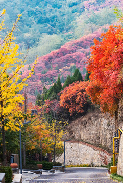 桃源小鎮(zhèn)