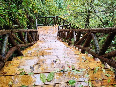 龍蒼溝景區(qū)木棧道