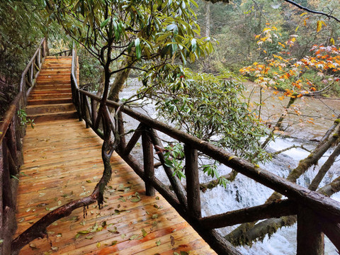 龍蒼溝景區(qū)木棧道