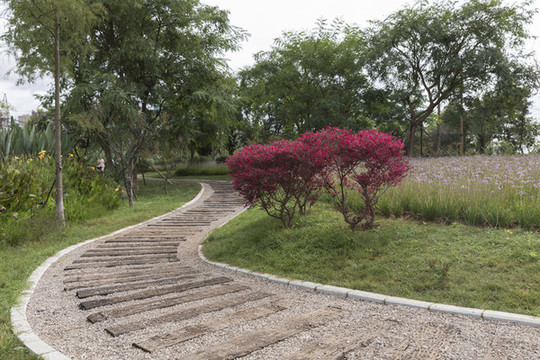 路