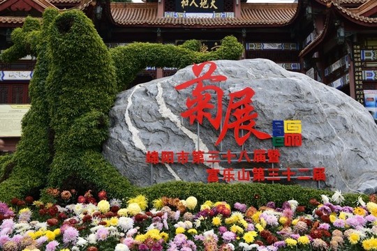 綿陽菊展