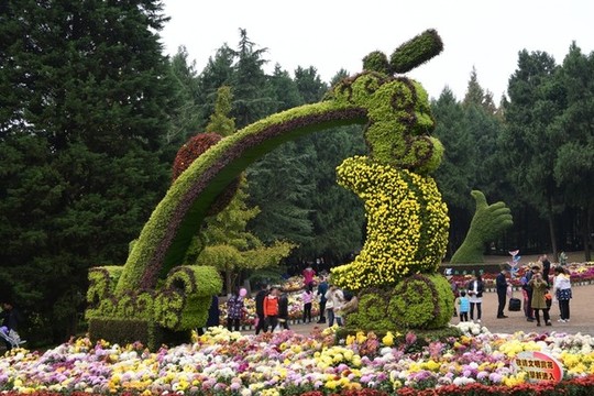菊花展