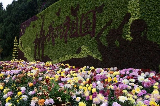 菊花展