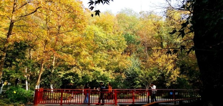 南京棲霞山