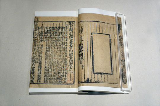 王冰注新刊補(bǔ)注釋文黃帝內(nèi)經(jīng)素問