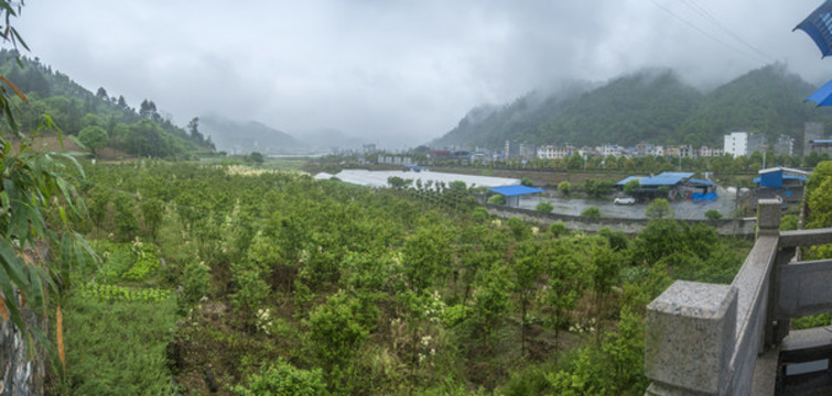 霧氣彌漫的山峰
