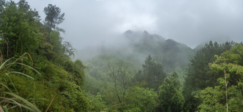 煙云山頂