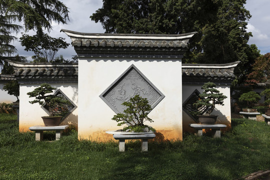 盆景園景觀