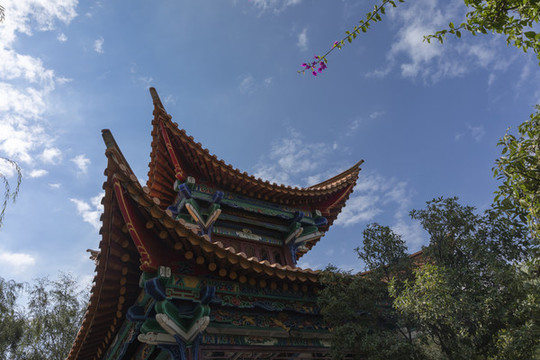 盆景園景觀
