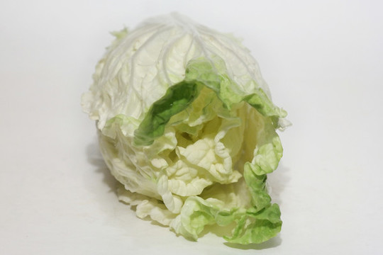 大白菜