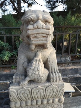 盧溝橋獅子石雕
