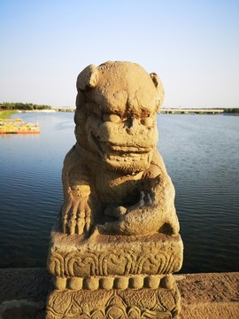 盧溝橋的石獅子
