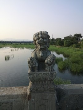 盧溝橋獅子石雕