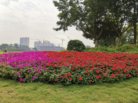 公園