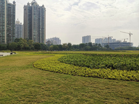 公園一角