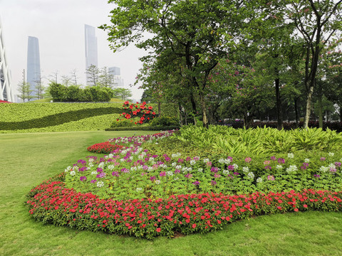 公園一角