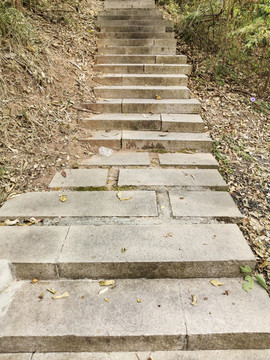 石板路