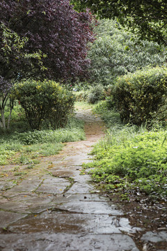 石板路