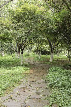 石板路