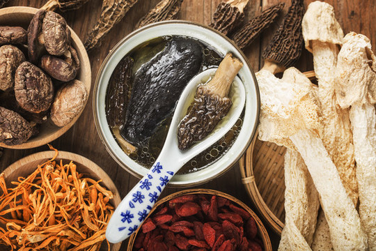 羊肚菌燉烏雞湯