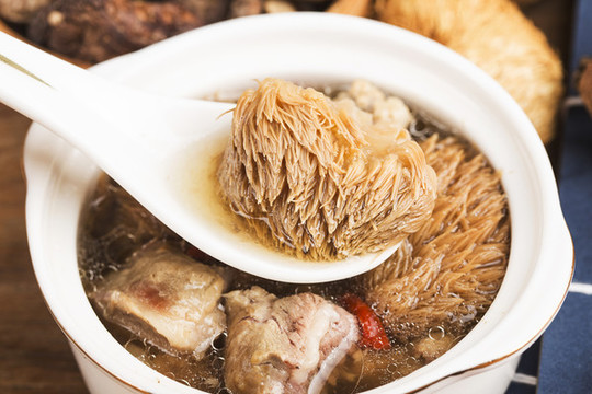 猴頭菇燉排骨湯