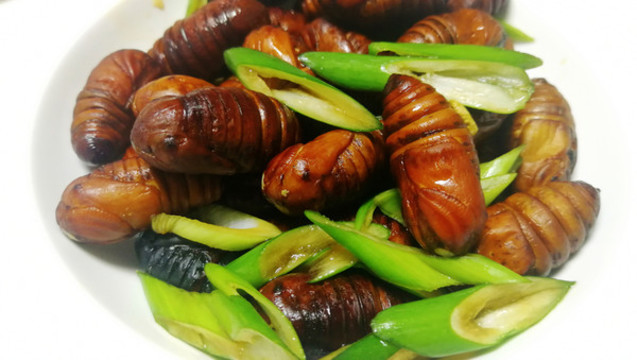 涼拌蠶蛹
