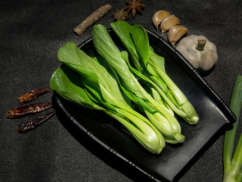 飄兒白