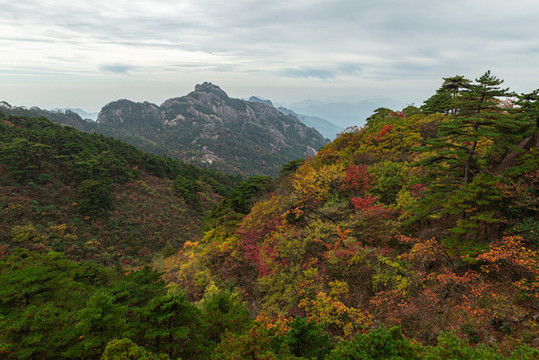 黃山秋色