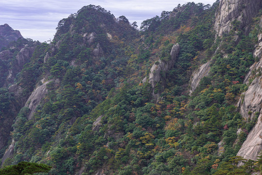黃山秋色