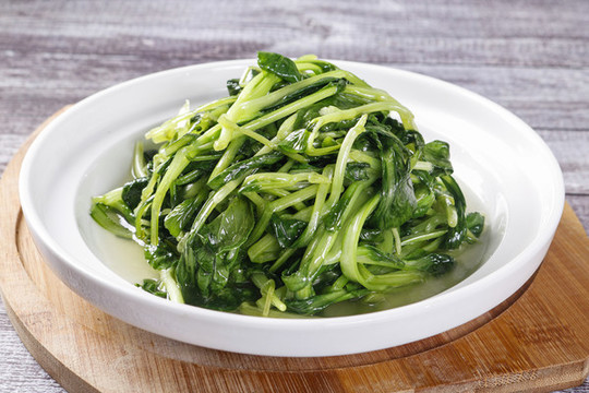 雞毛菜