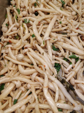 白玉菇