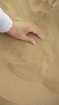 沙漠