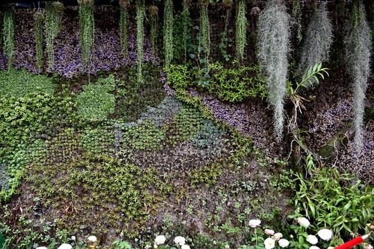 綠植背景墻