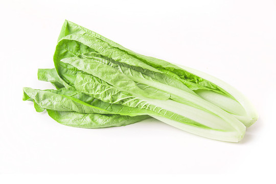 新鮮白菜