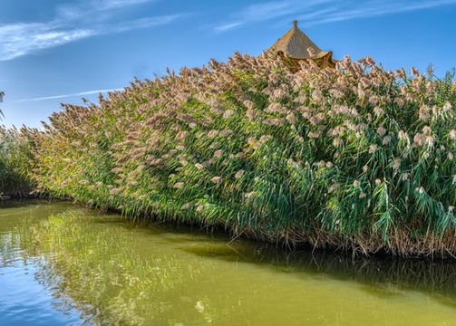 博斯騰湖大河口景區(qū)