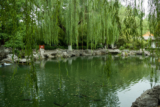 山東省濟南市趵突泉公園無憂泉
