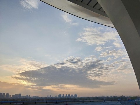 天空飛魚