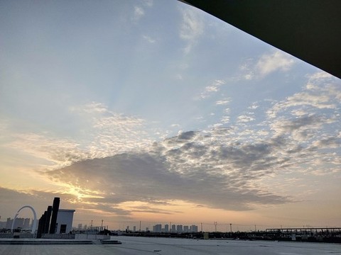 天空飛魚
