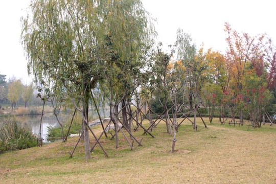 田園風光