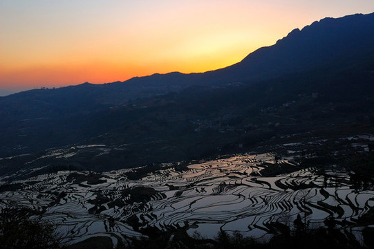 元陽山城梯田
