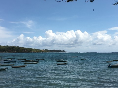 大海