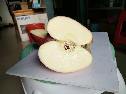 蘋果