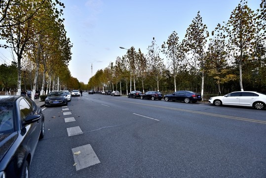 道路秋景