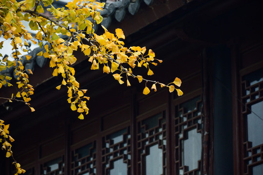 南京夫子廟