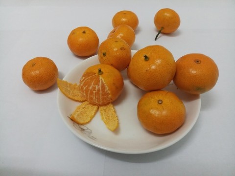 沙糖桔