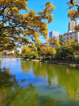 大觀河